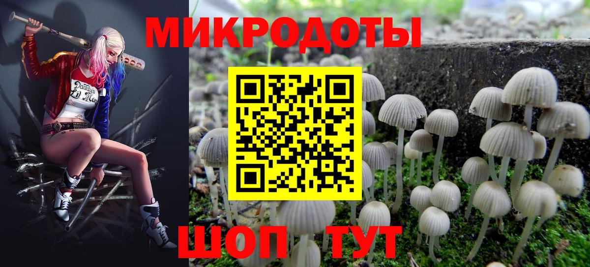 Галлюциногенные грибы мицелий  Вход с VPN  Красногорск 